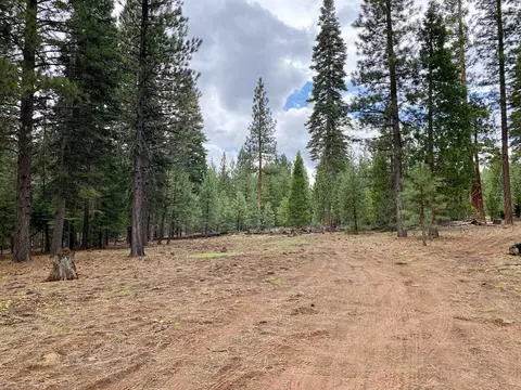 Ponderosa Lane, Old Station, CA 96071
