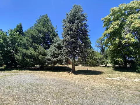 29785 Terry Mill Rd, Round Mountain, CA 96084 photo 38