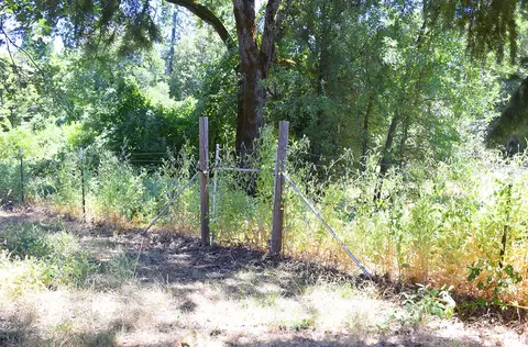 29785 Terry Mill Rd, Round Mountain, CA 96084 photo 27