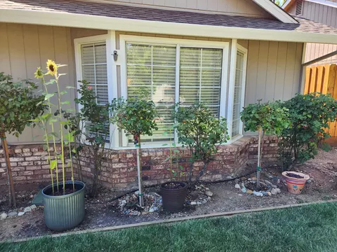 1572 Lavender Way, Redding, CA 96003 photo 3