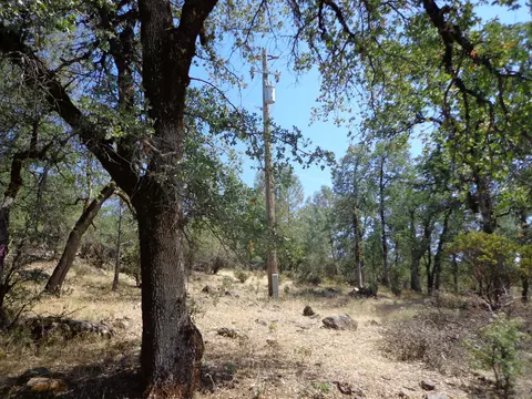 Green Mountain Rd, Round Mountain, CA 96084 photo 3