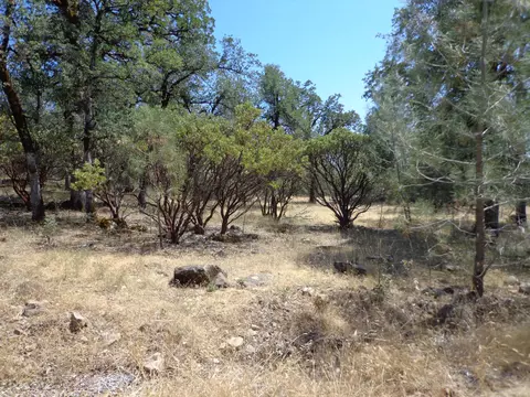 Green Mountain Rd, Round Mountain, CA 96084