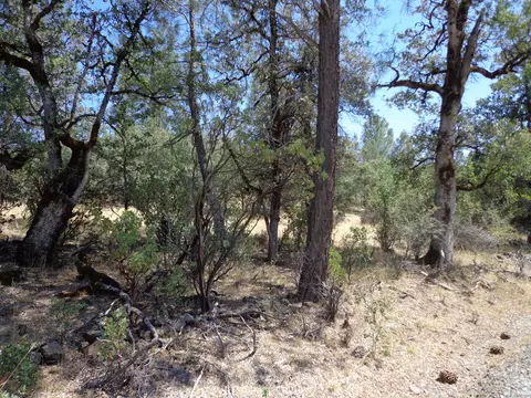 Green Mountain Rd, Round Mountain, CA 96084 photo 6