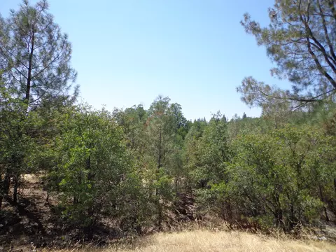 Green Mountain Rd, Round Mountain, CA 96084 photo 2
