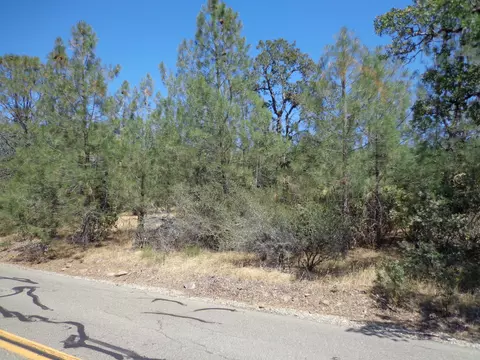Green Mountain Rd, Round Mountain, CA 96084 photo 13