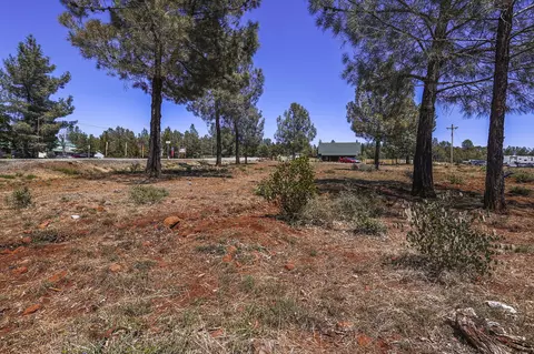 28555 Ca-44, Shingletown, CA 96088 photo 40