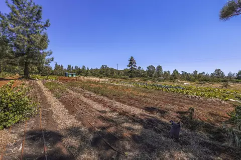 28555 Ca-44, Shingletown, CA 96088 photo 22