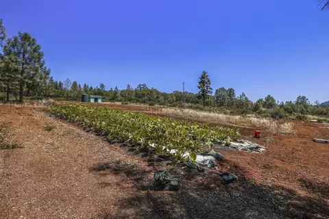 28555 Ca-44, Shingletown, CA 96088 photo 23