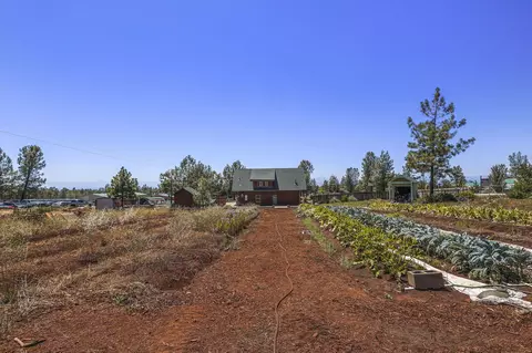 28555 Ca-44, Shingletown, CA 96088 photo 26