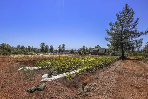 28555 Ca-44, Shingletown, CA 96088 photo 25