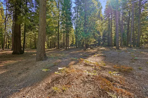 36550 Deer Flat Rd, Shingletown, CA 96088 photo 42