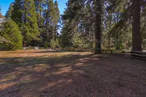 36550 Deer Flat Rd, Shingletown, CA 96088 photo 65