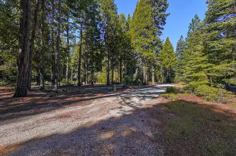 36550 Deer Flat Rd, Shingletown, CA 96088 photo 59
