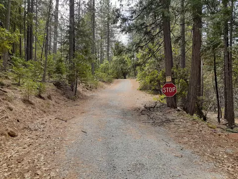 000 Chapman Rd, Shingletown, CA 96088 photo 3