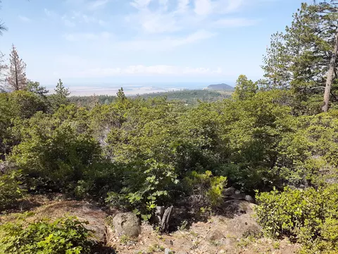 000 Chapman Rd, Shingletown, CA 96088 photo 16