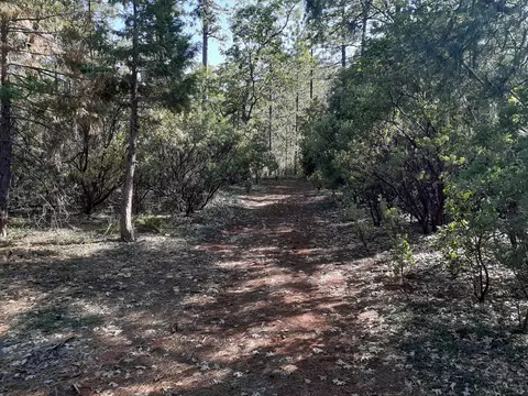 000 Chapman Rd, Shingletown, CA 96088 photo 6
