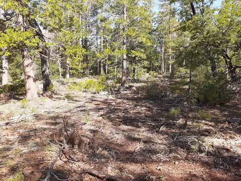 000 Chapman Rd, Shingletown, CA 96088 photo 8