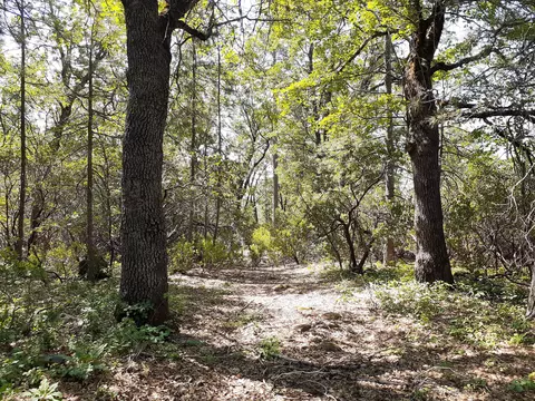 000 Chapman Rd, Shingletown, CA 96088 photo 7