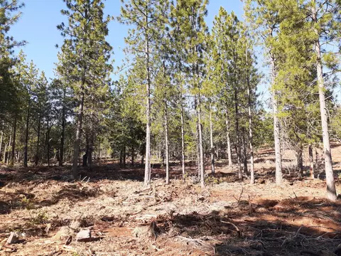 000 Chapman Rd, Shingletown, CA 96088 photo 12