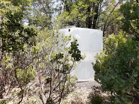 000 Chapman Rd, Shingletown, CA 96088 photo 14