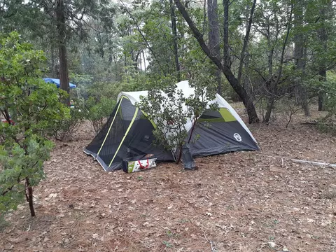 000 Chapman Rd, Shingletown, CA 96088 photo 10