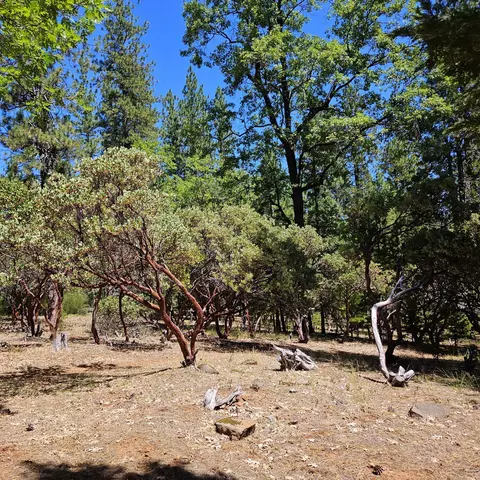 17204 Phillips Rd, Oak Run, CA 96069 photo 25