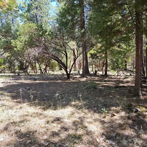 17204 Phillips Rd, Oak Run, CA 96069 photo 23