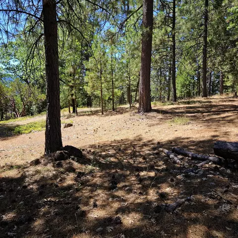 17204 Phillips Rd, Oak Run, CA 96069 photo 24