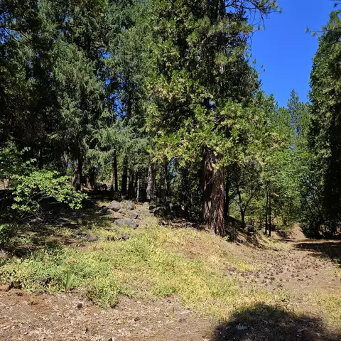17204 Phillips Rd, Oak Run, CA 96069 photo 26