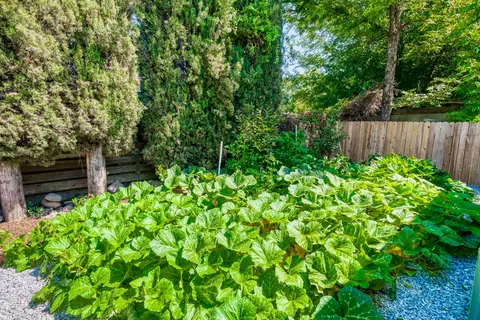 5195 Bidwell Rd, Redding, CA 96001 photo 19