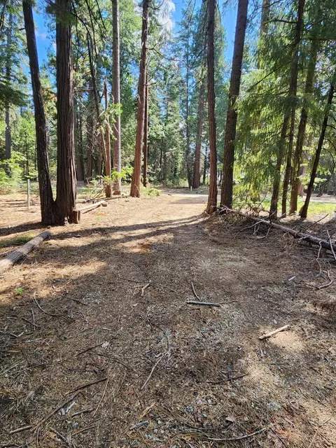 Lot 8 Sky Tree Ln, Shingletown, CA 96088 photo 15