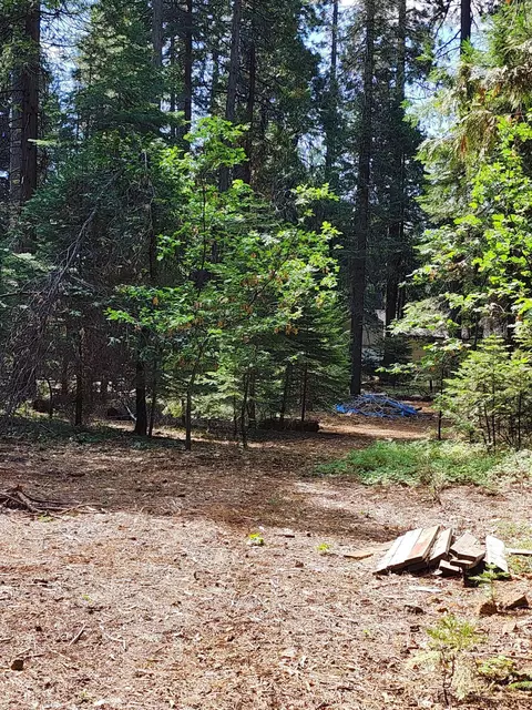 Lot 8 Sky Tree Ln, Shingletown, CA 96088 photo 7