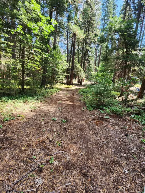 Lot 8 Sky Tree Ln, Shingletown, CA 96088 photo 14