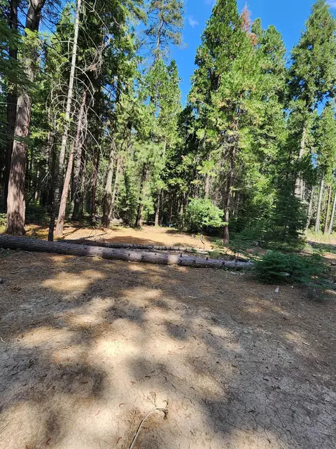 Lot 8 Sky Tree Ln, Shingletown, CA 96088 photo 18