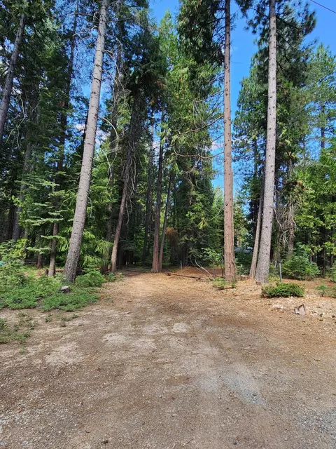 Lot 8 Sky Tree Ln, Shingletown, CA 96088 photo 16