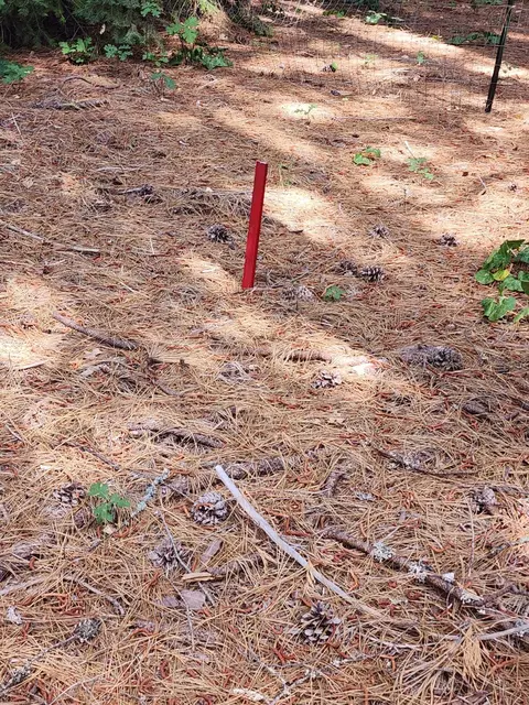 Lot 8 Sky Tree Ln, Shingletown, CA 96088 photo 5