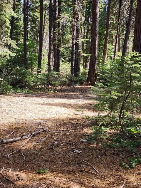 Lot 8 Sky Tree Ln, Shingletown, CA 96088 photo 12