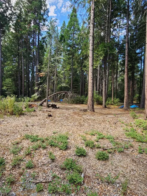 Lot 8 Sky Tree Ln, Shingletown, CA 96088 photo 17