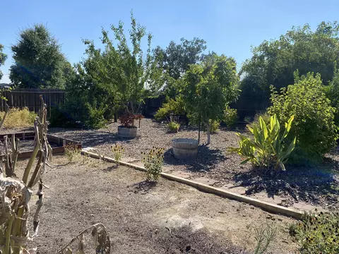 2139 Blossom Ave, Corning, CA 96021 photo 14