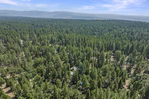 7198 Montgomery Rd, Shingletown, CA 96088 photo 64