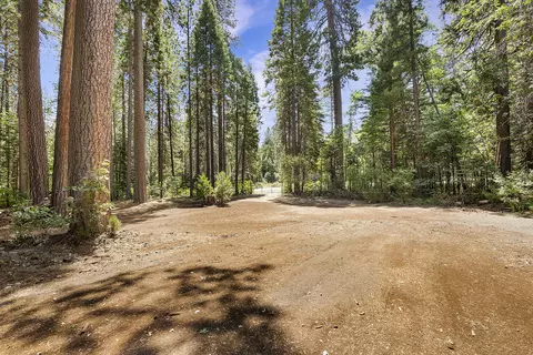 7198 Montgomery Rd, Shingletown, CA 96088 photo 49