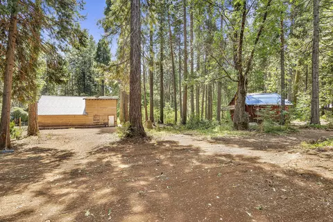 7198 Montgomery Rd, Shingletown, CA 96088 photo 54