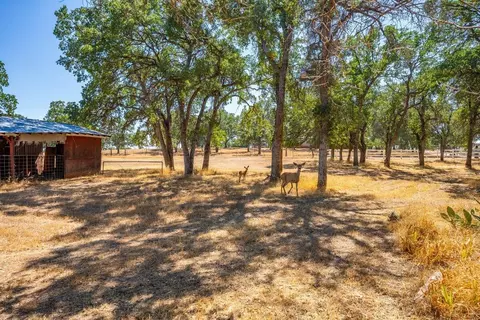 18990 Newman Rd, Red Bluff, CA 96080 photo 34