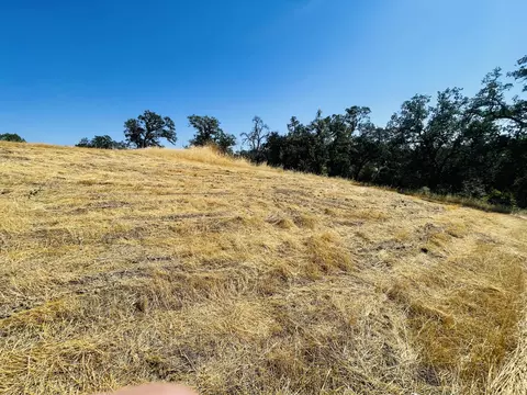 7419 Smith Rd, Corning, CA 96021 photo 6