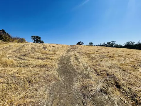7419 Smith Rd, Corning, CA 96021 photo 9