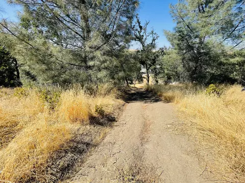 7419 Smith Rd, Corning, CA 96021 photo 8