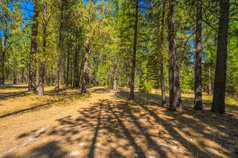 Brookhaven Drive, Old Station, CA 96071 photo 8