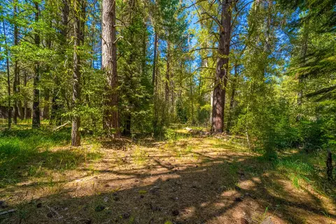 Brookhaven Drive, Old Station, CA 96071 photo 7