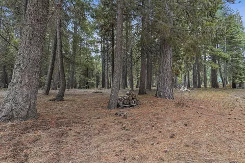 34715 Twilight Way, Shingletown, CA 96088 photo 32
