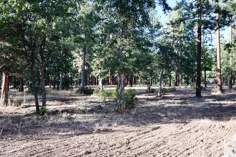 640-200 Iris Rd, Mcarthur, CA 96056 photo 46